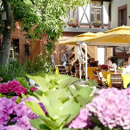 Monte Vino 4* Potsdam
