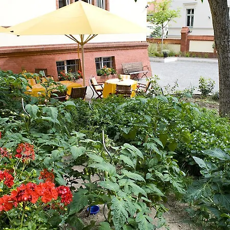 Monte Vino 4*